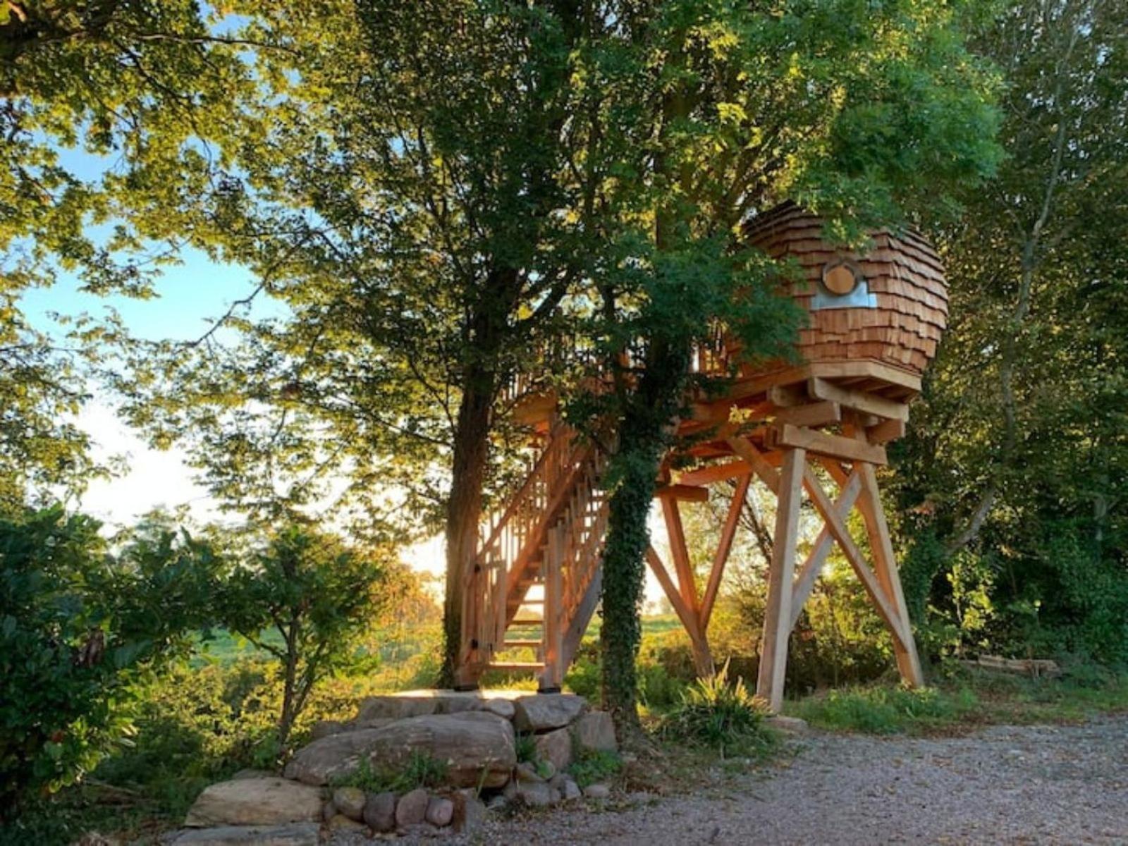 La Ville Es Renais - Ferme Et Maison D'Hotes Insolite Erquy Eksteriør billede